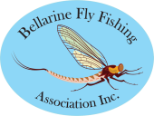 Bellarine Fly Fishing Association BFFA Geelong